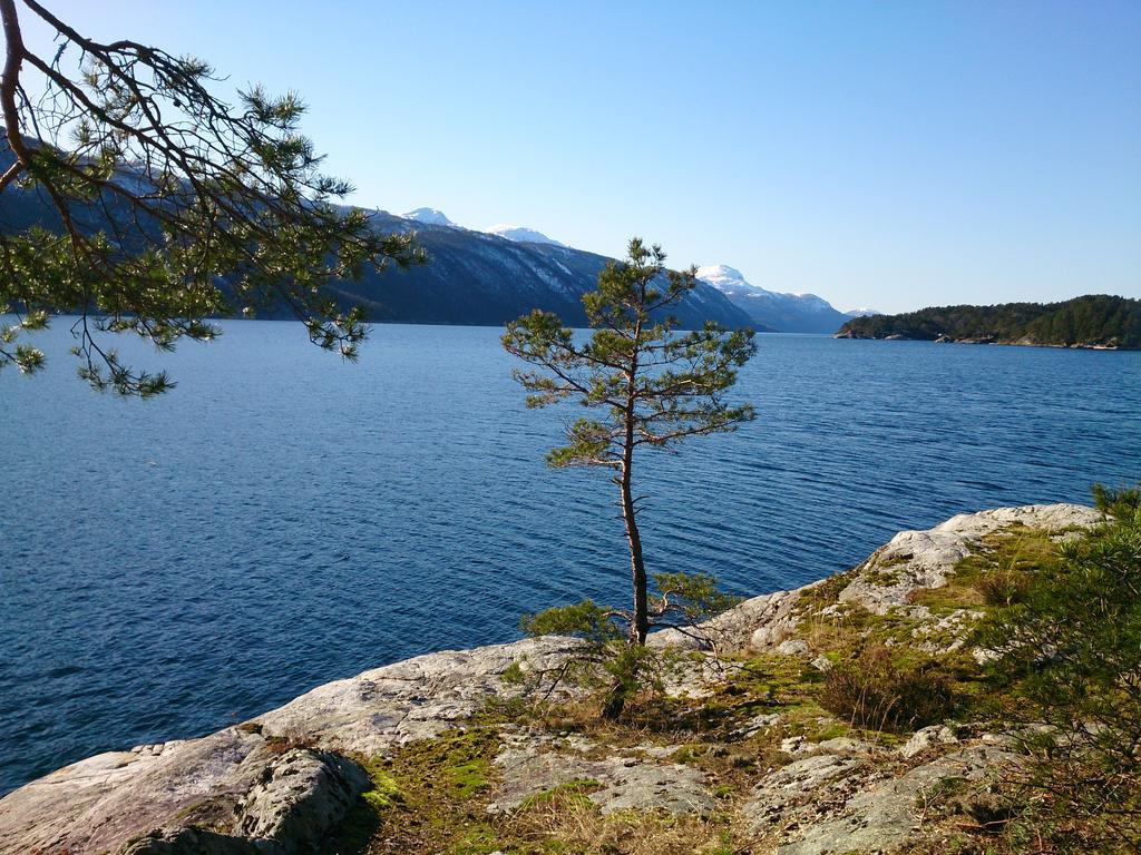 Ropeid Villa Fjordferie Extérieur photo